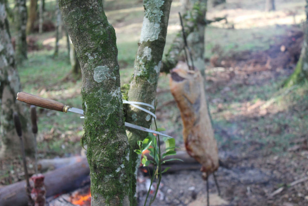 Welche-ist-die-beste-Machete-featured